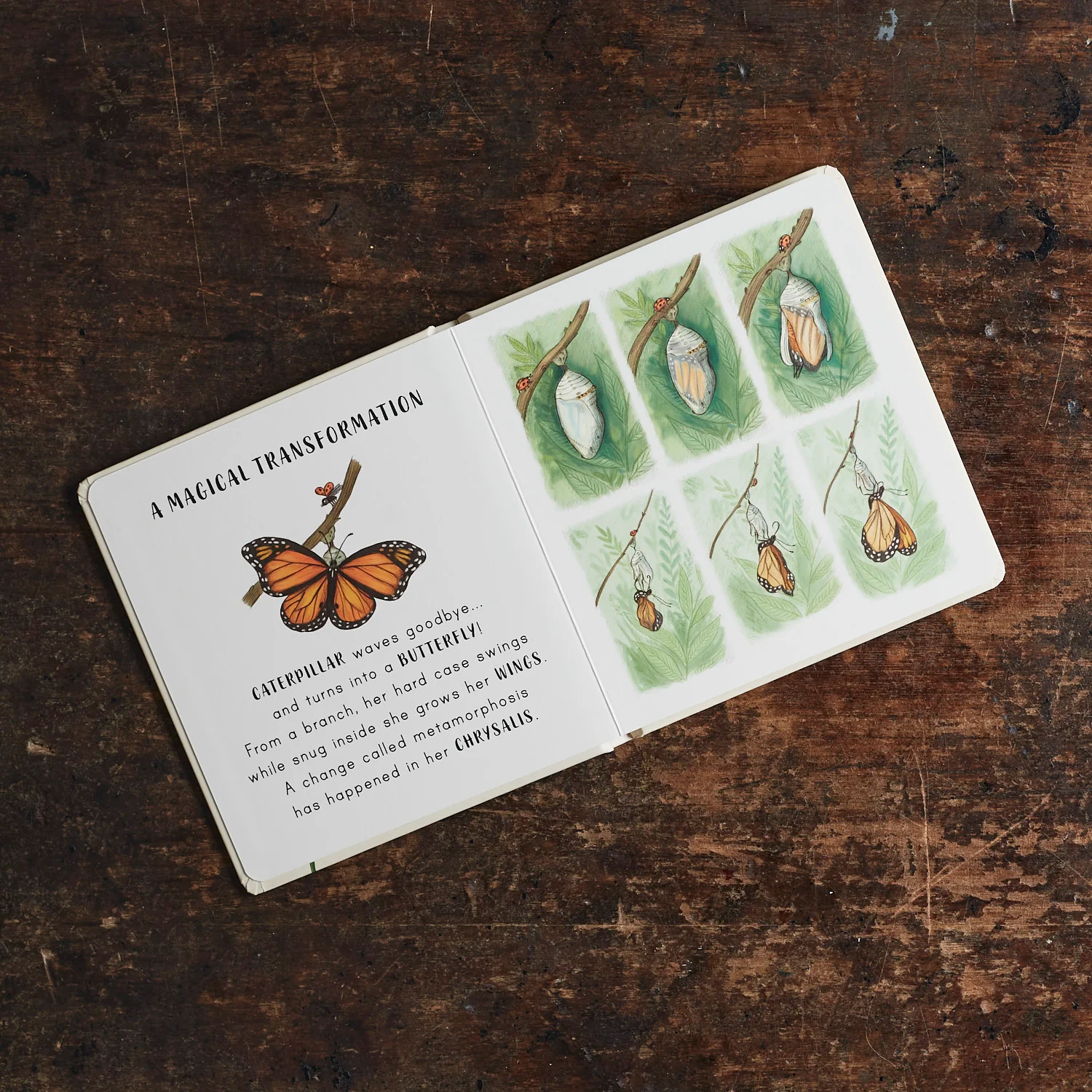 Slow Down Board Book - Image 2
