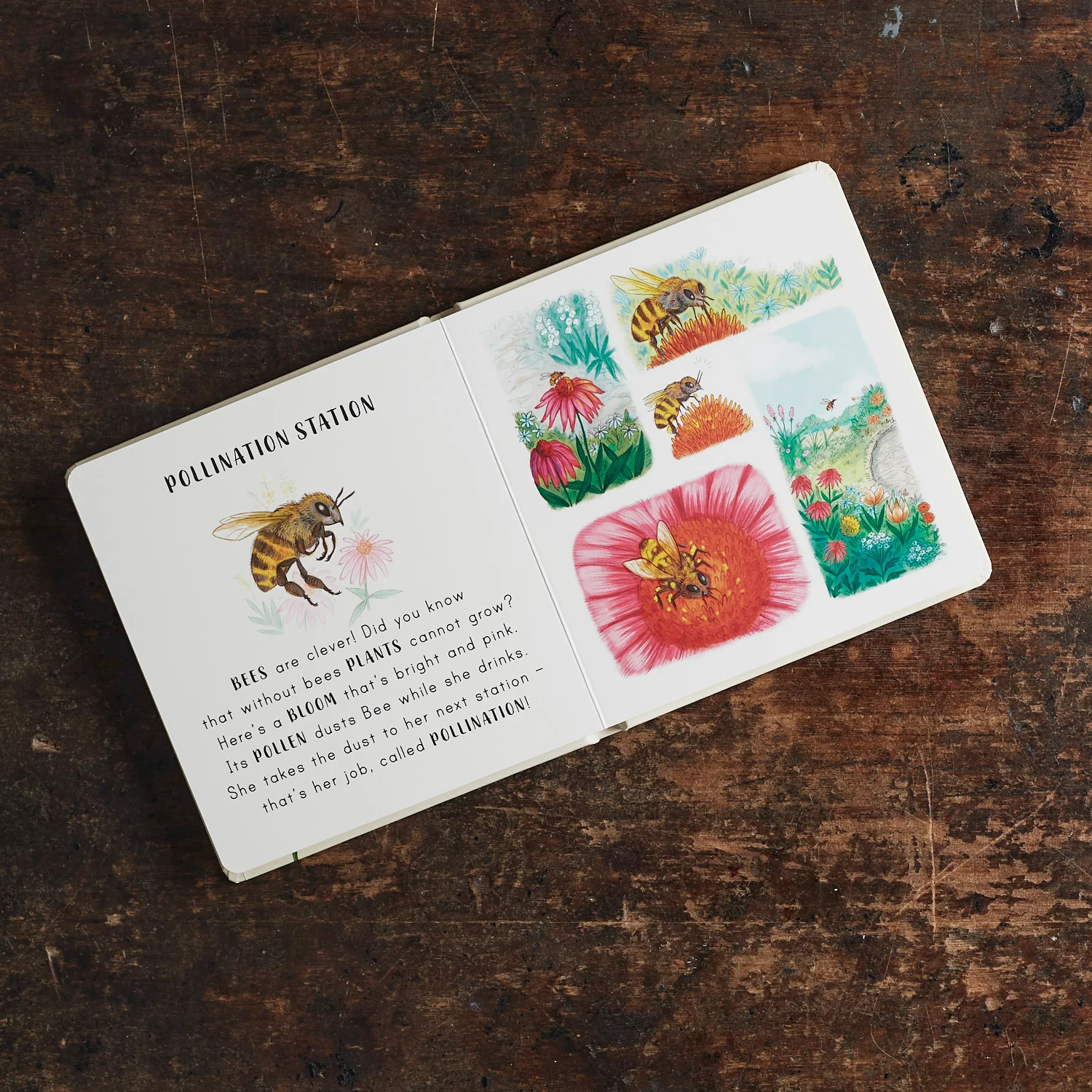 Slow Down Board Book - Image 3