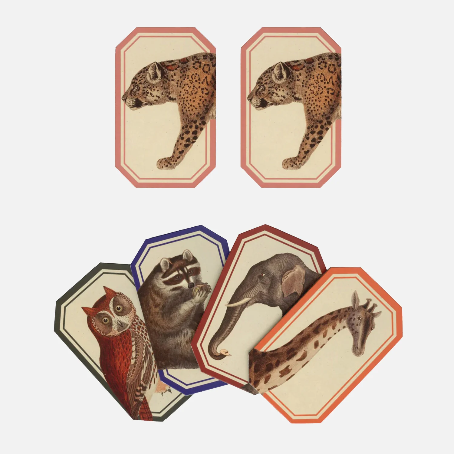 Memory Game - Animal Kingdom - Image 4