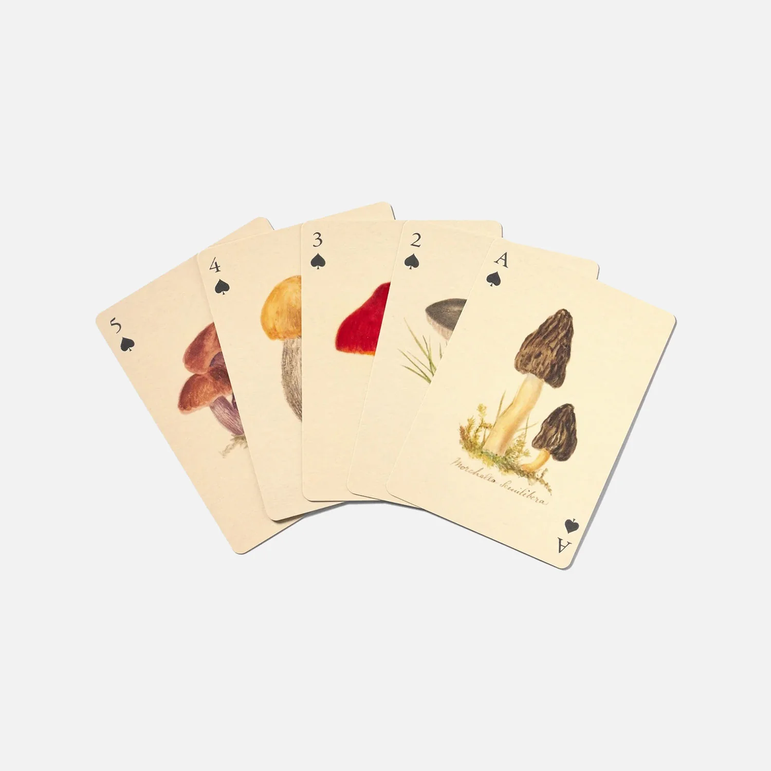 Playing Cards - Set of Two Decks - Fungi - Image 3