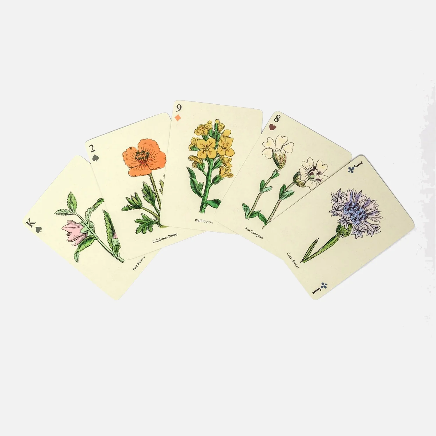 Playing Cards - Single Deck - Wildflowers - Image 2