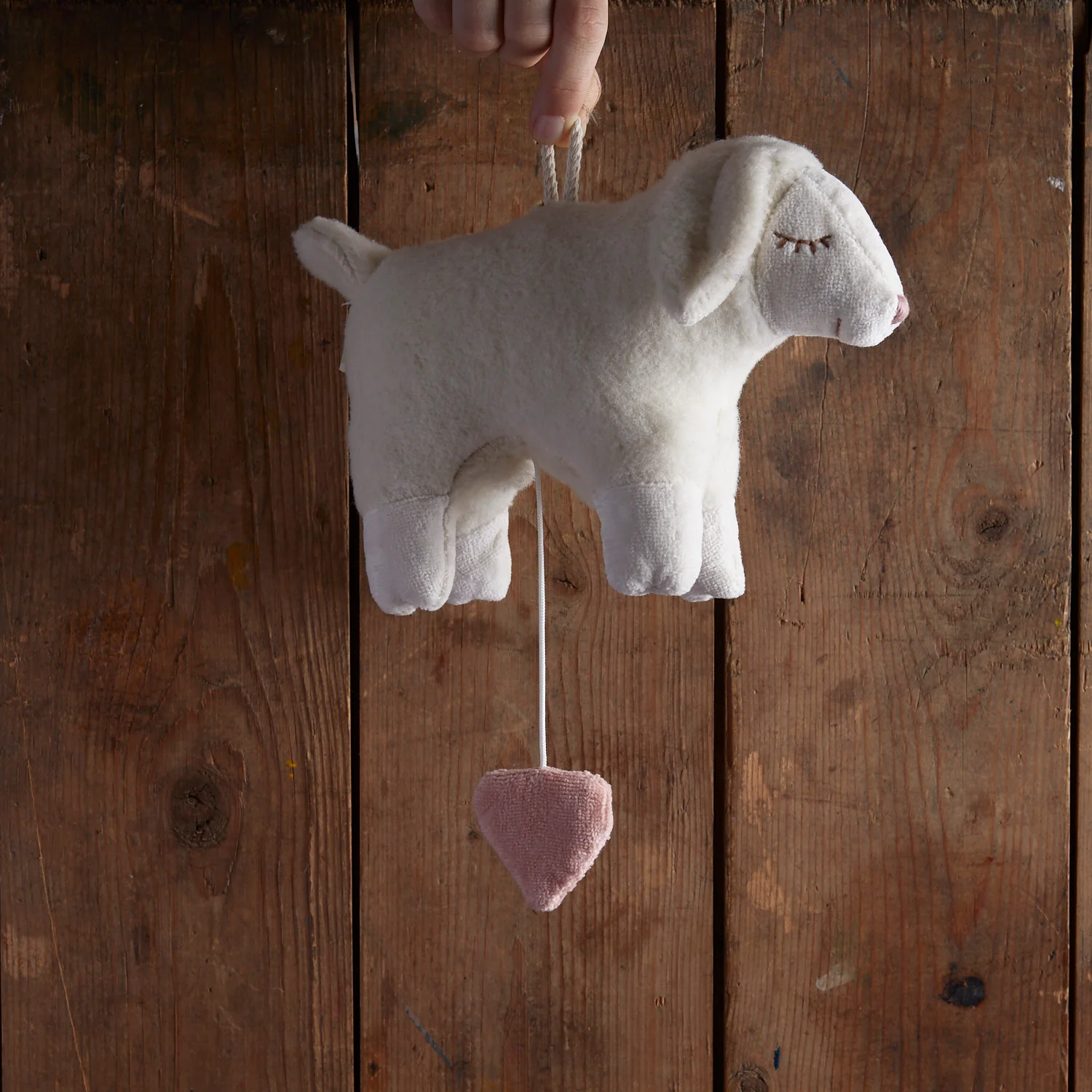 Cotton Music Box - Sheep - Image 2