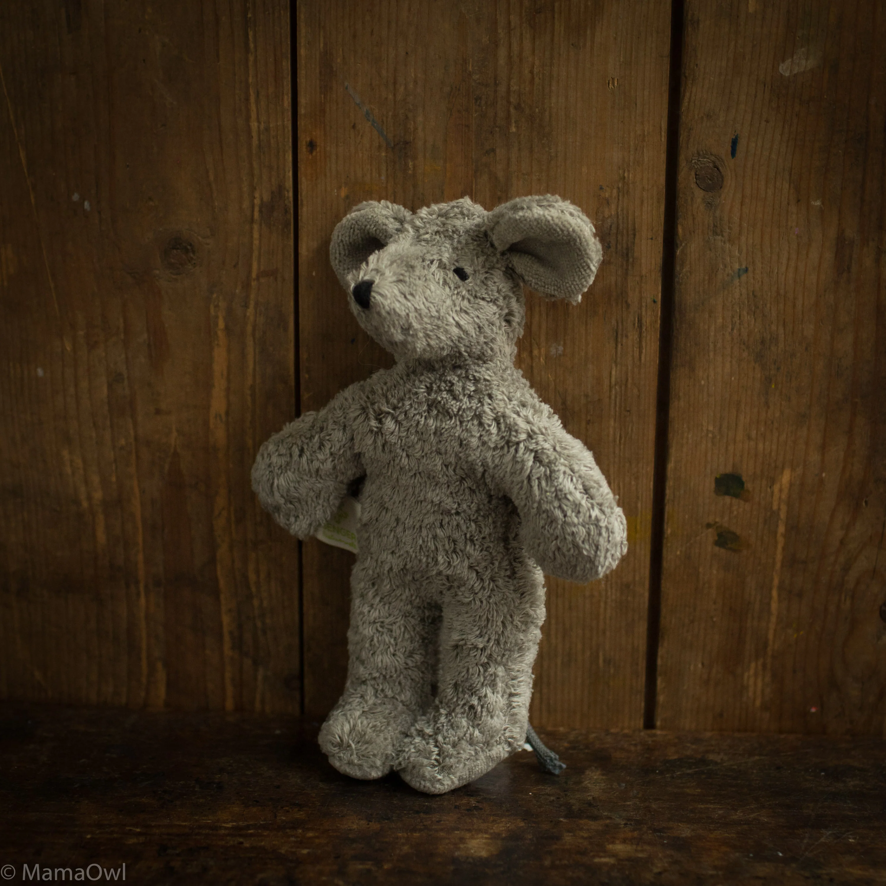 Cotton Baby Mouse