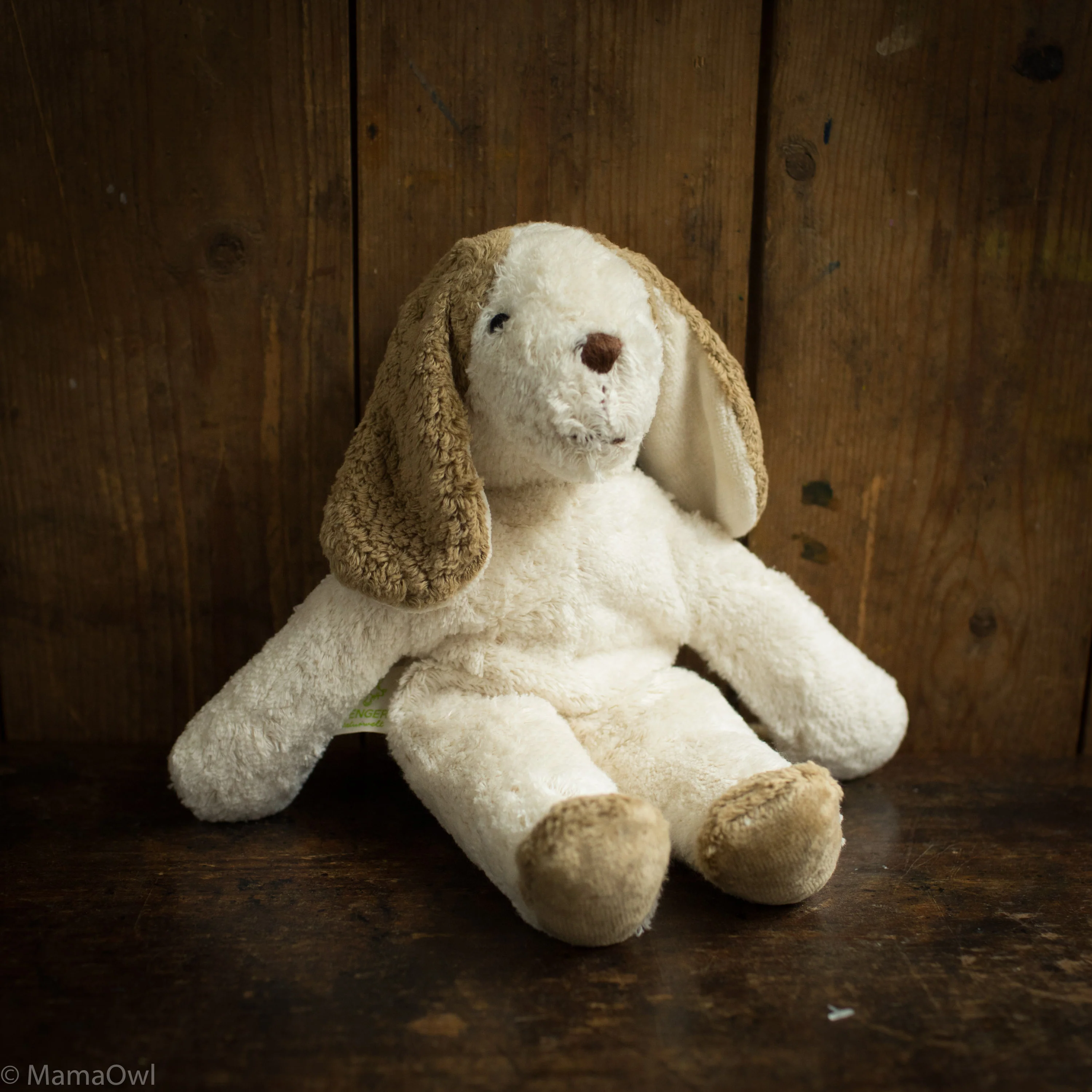 Cotton Small Dog - White/Beige - Image 2