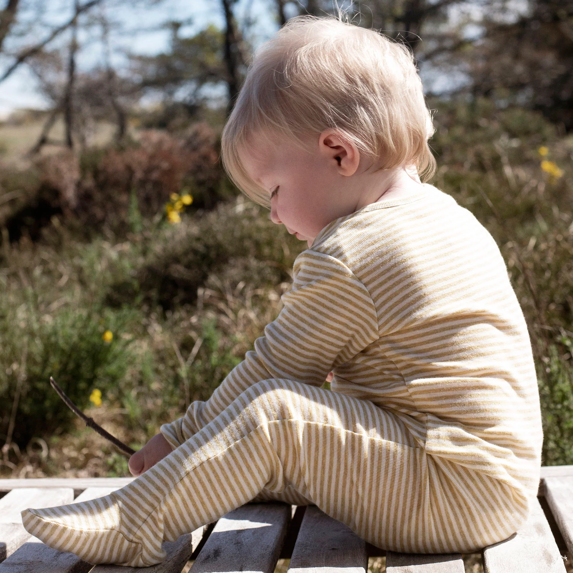 Baby Cotton Babysuit - Chamomile/Off White - Image 3