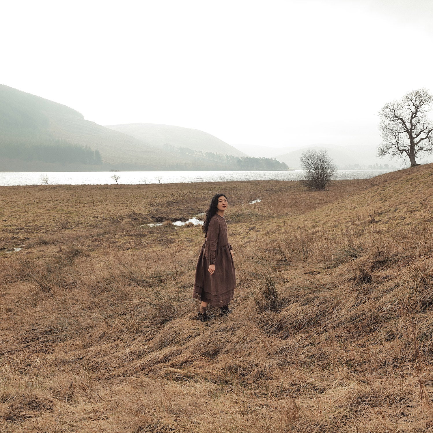 Ash Women's Dress - Linen - Squirrel - Image 3