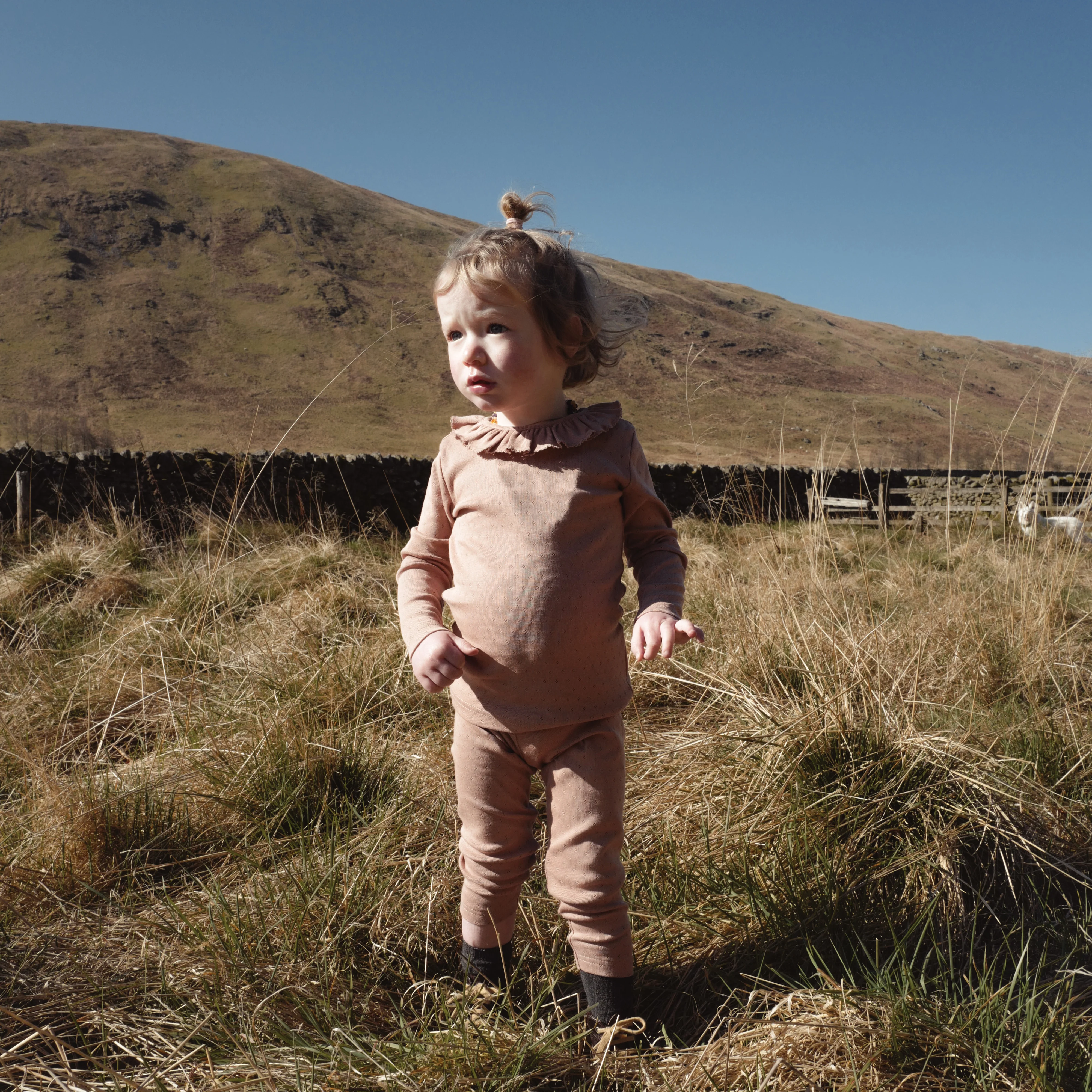 Wren Baby & kids Top - Cotton Pointelle - Peony - Image 3