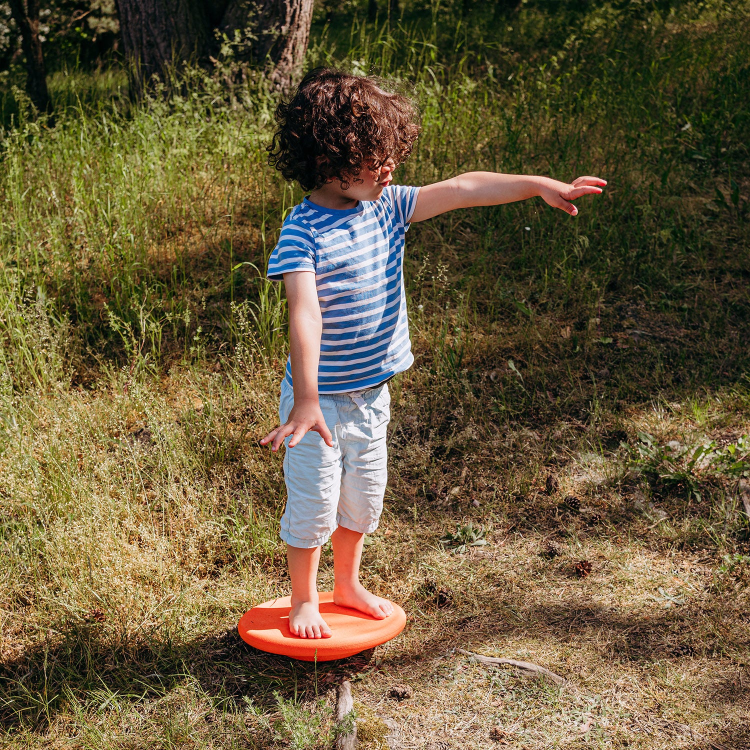 Balance Board - Many Colours - Image 11