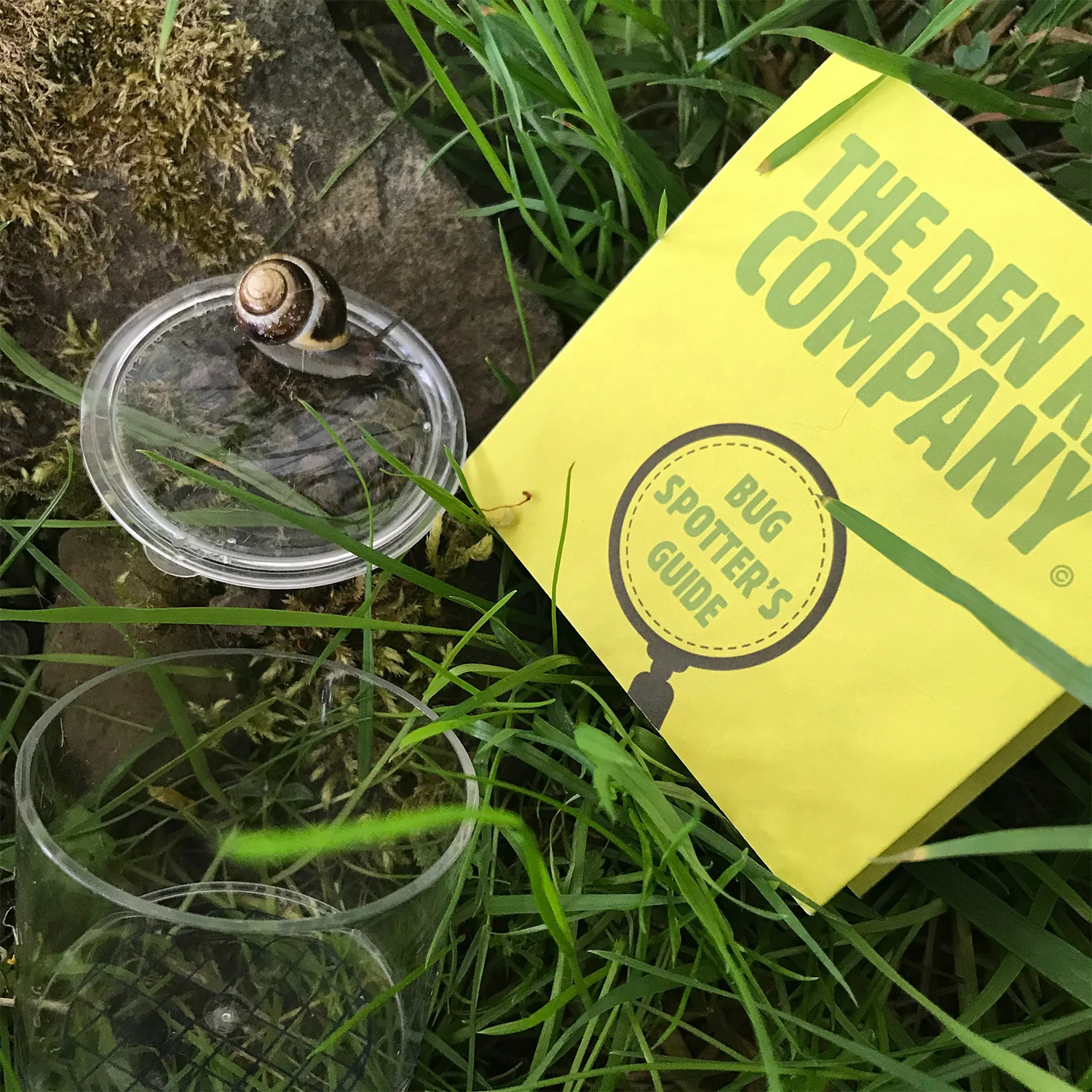 The Bug Spotter Kit - Image 4