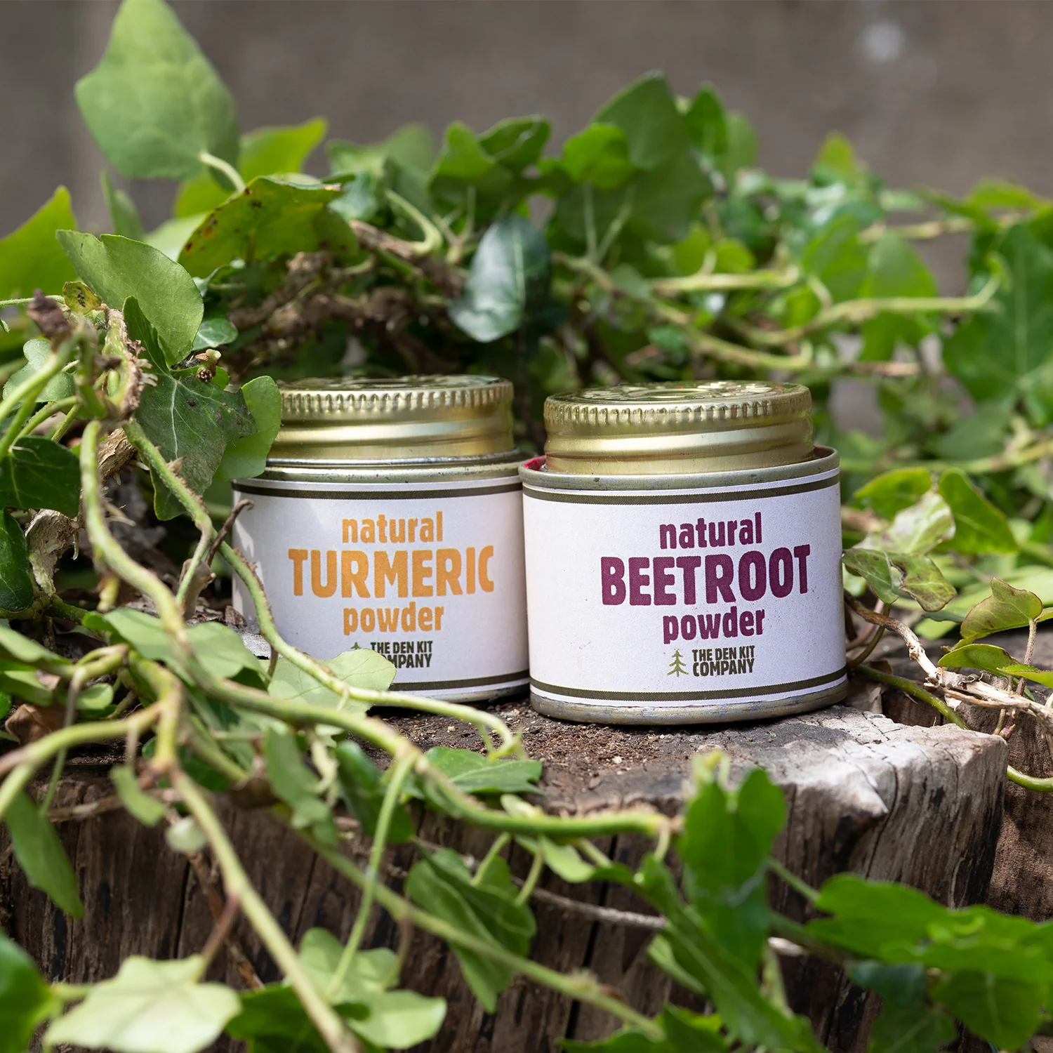 The Potion Making Kit - Image 6